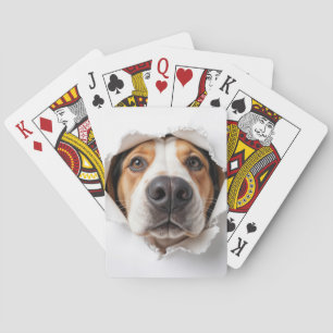 Hound Hund Peekthrough Torn Papper Hål Casinokort