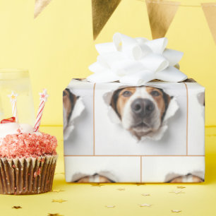 Hound Hund Peekthrough Torn Papper Hål Presentpapper