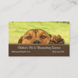 House and Pet Sitta Business with Cute Hund Visitkort