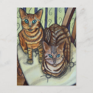 House Cats Vykort