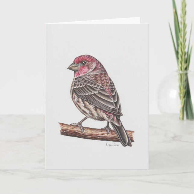 House Finch Art Card Tack Kort (Framsida)