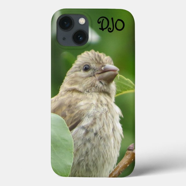 House Finch Bird Personlig (Baksida)
