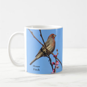House Finch Coffee Mugg av BirdingCollectibles
