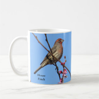 House Finch Coffee Mugg av BirdingCollectibles