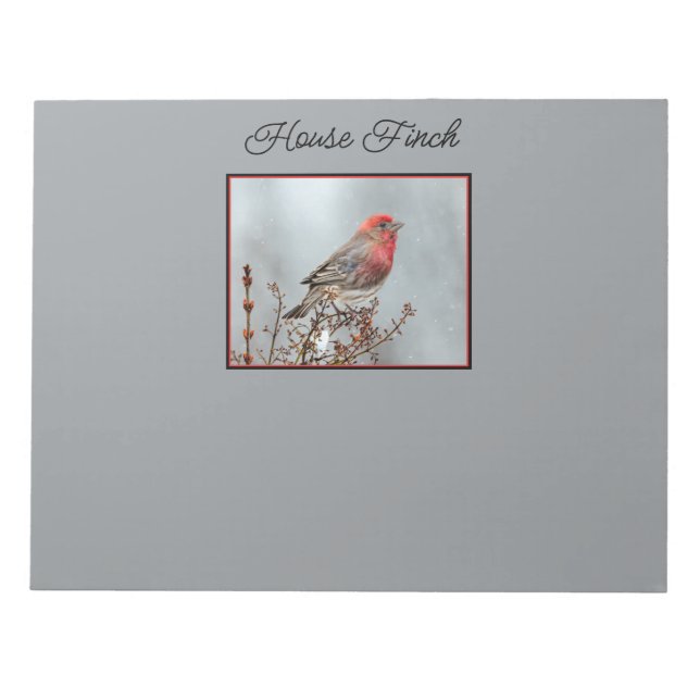 House Finch in Snö - Originalfoto Anteckningsblock (Framsida)