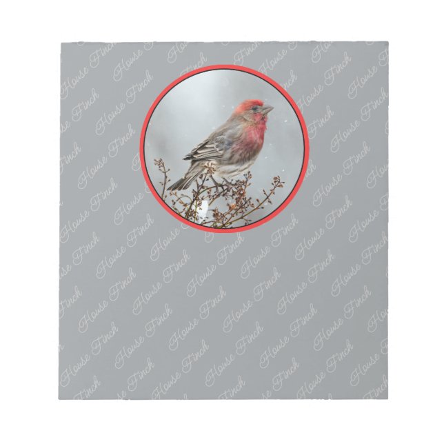 House Finch in Snö - Originalfoto Anteckningsblock (Framsida)
