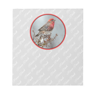 House Finch in Snö - Originalfoto Anteckningsblock