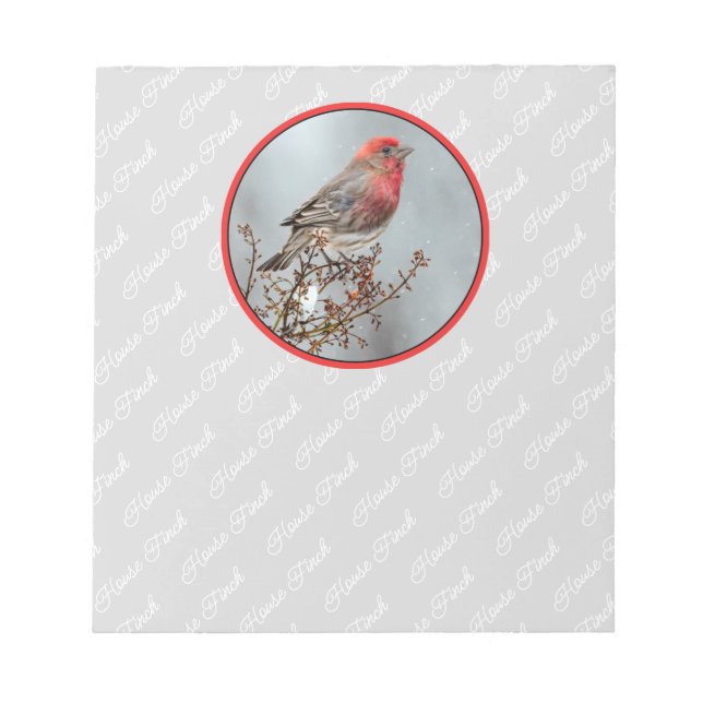 House Finch in Snö - Originalfoto Anteckningsblock (Framsida)