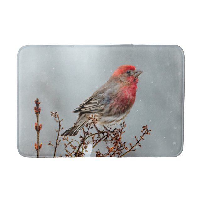 House Finch in Snö - Originalfoto Badrumsmatta (Framsidan)