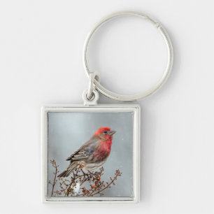 House Finch in Snö - Originalfoto Fyrkantig Silverfärgad Nyckelring
