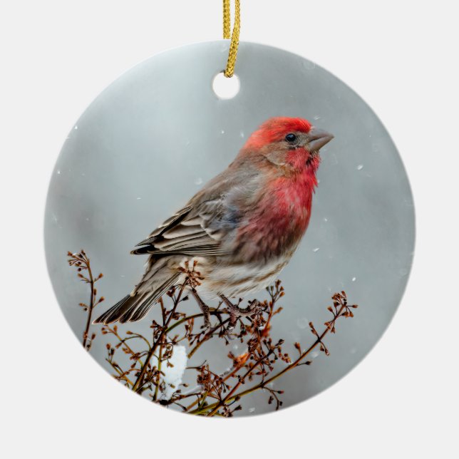 House Finch in Snö - Originalfoto Julgransprydnad Keramik (Framsidan)