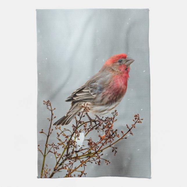 House Finch in Snö - Originalfoto Kökshandduk (Vertikal)
