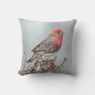 House Finch in Snö - Originalfoto Kudde