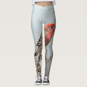 House Finch in Snö - Originalfoto Leggings