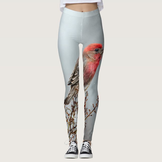 House Finch in Snö - Originalfoto Leggings (Framsida)