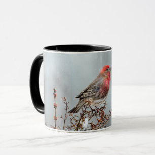 House Finch in Snö - Originalfoto Mugg