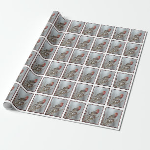 House Finch in Snö - Originalfoto Presentpapper