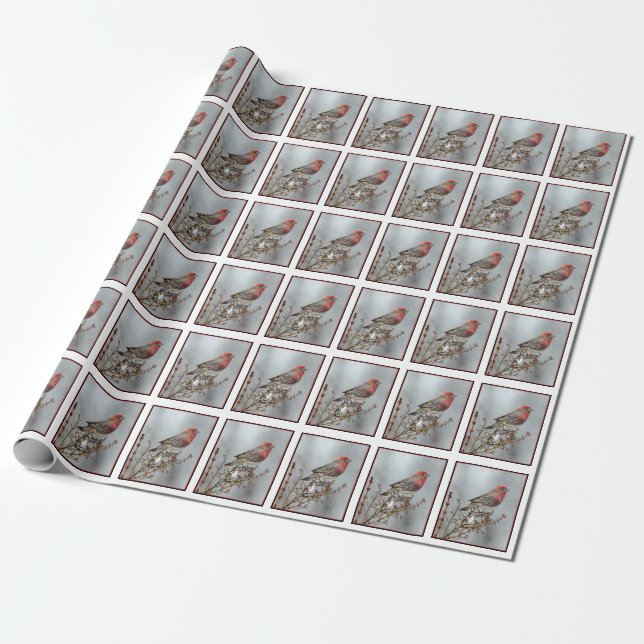 House Finch in Snö - Originalfoto Presentpapper (Utrullad)