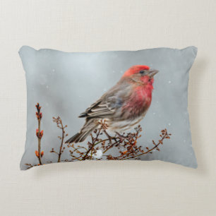 House Finch in Snö - Originalfoto Prydnadskudde