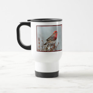 House Finch in Snö - Originalfoto Resemugg