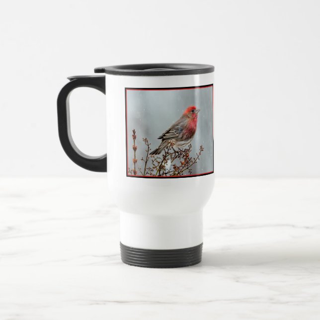 House Finch in Snö - Originalfoto Resemugg (Vänster)