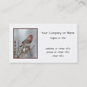House Finch in Snö - Originalfoto Visitkort