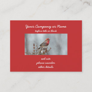 House Finch in Snö - Originalfoto Visitkort