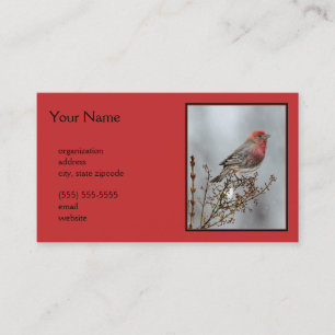 House Finch in Snö - Originalfoto Visitkort