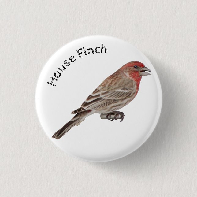 House Finch Knapp (Framsida)