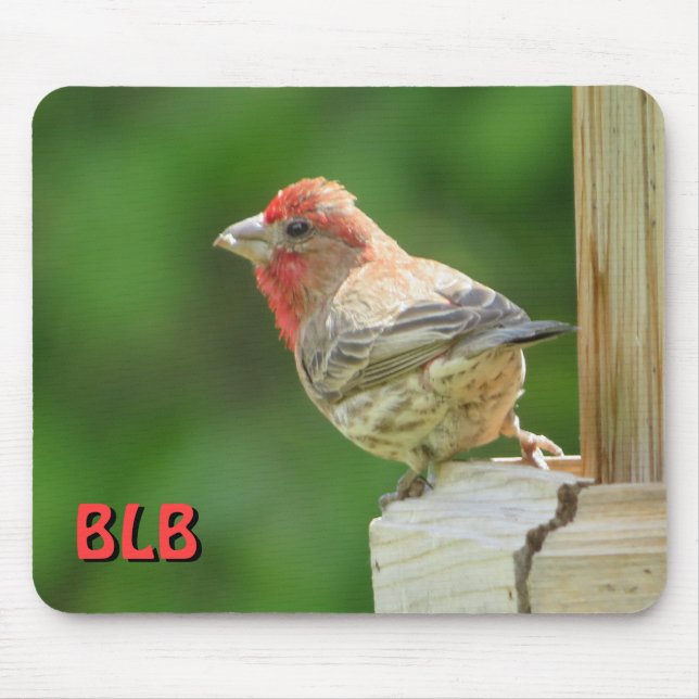 House Finch med din initialer Musmatta (Framsidan)
