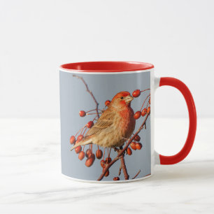 House Finch med Hawthorn Berries Mugg