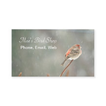 House Finch på Gren