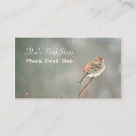 House Finch på Gren Visitkort