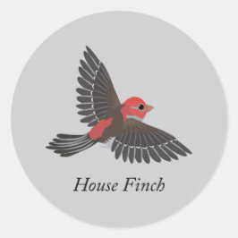 House Finch Runt Klistermärke