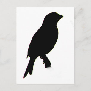 House Finch silhouette vykort