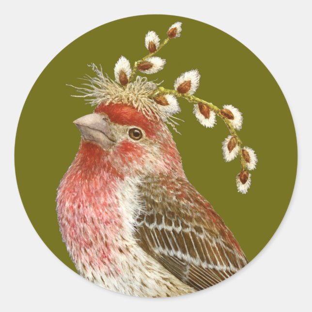 House finch sticker runt klistermärke (Framsida)