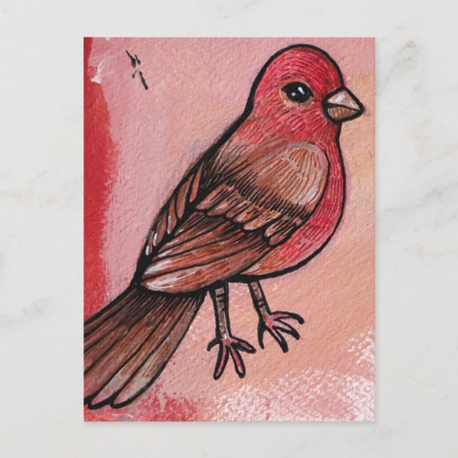 House Finch Vykort (Framsida)