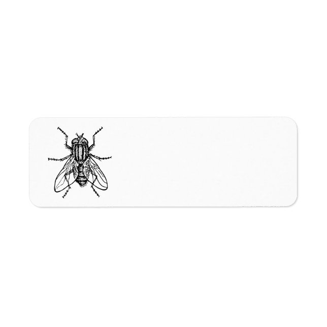 House Fly Returadress Etikett (Framsidan)