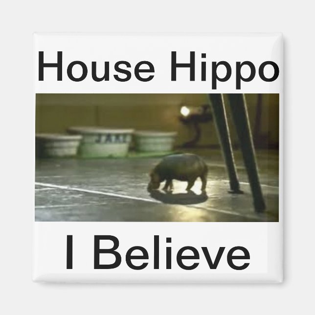 House Hippo Magnet (Framsidan)