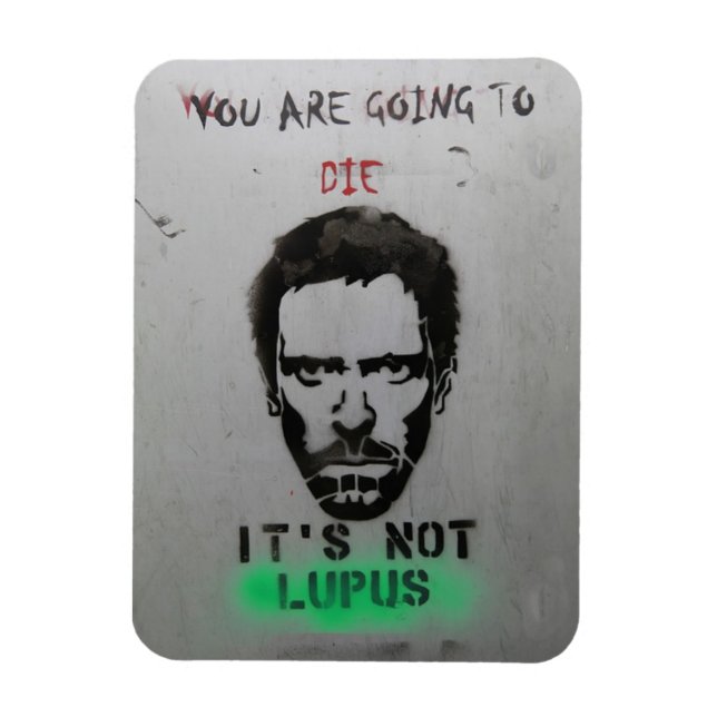 House lupus magnet (Vertikal)