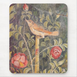 House of the Golden Bracelet, Pompeii Musmatta