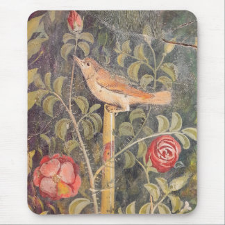 House of the Golden Bracelet, Pompeii Musmatta