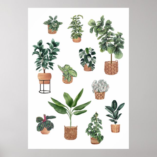 House Plant Collection 3 Poster (Framsidan)