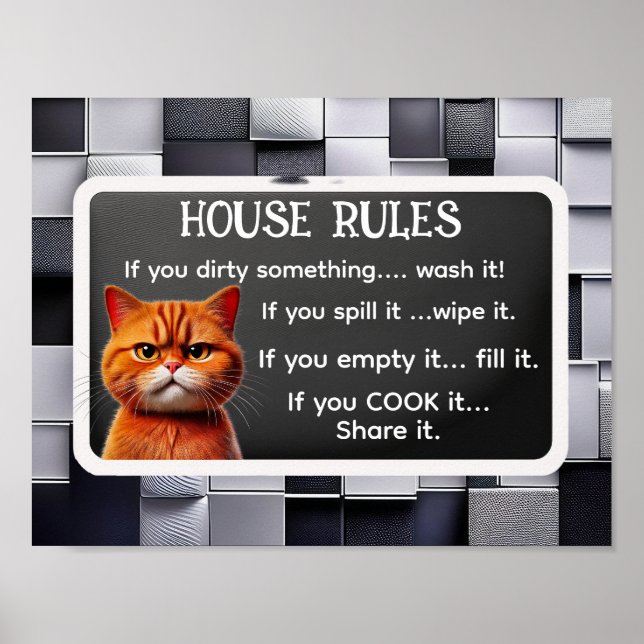 HOUSE REGLER, av The Cat influencer Poster (Framsidan)