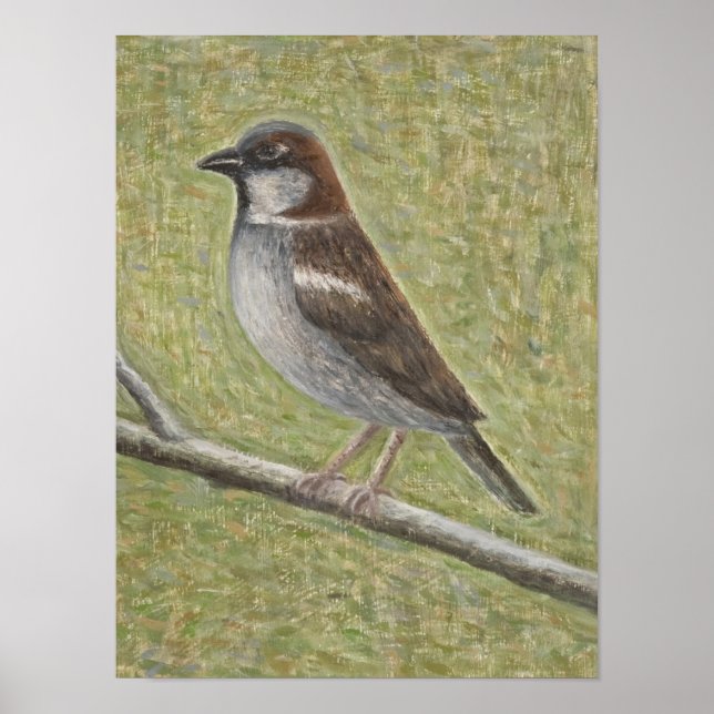 House Sparrow 2008 Poster (Framsidan)