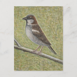 House Sparrow 2008 Vykort
