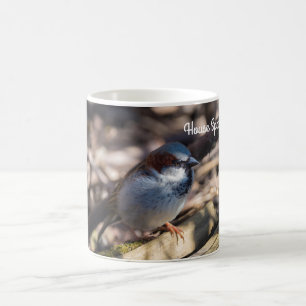 House Sparrow Kaffemugg