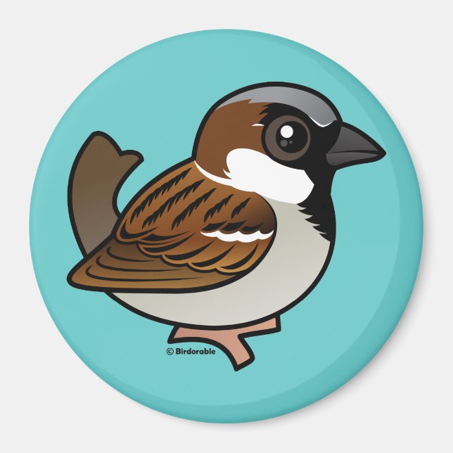 House Sparrow Magnet (Framsidan)