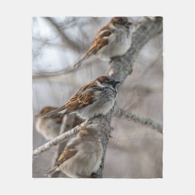 House Sparrows på Gren Fleecefilt (Framsidan)
