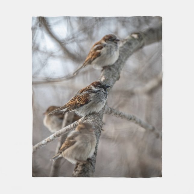 House Sparrows på Gren Fleecefilt (Framsidan)